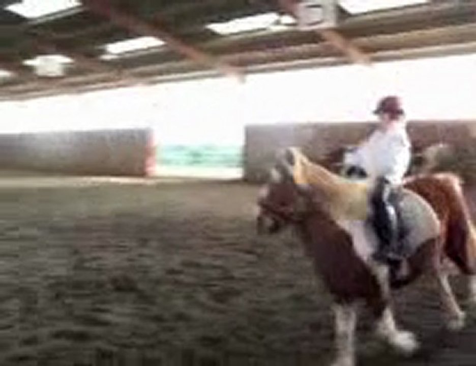 C EQUESTRE