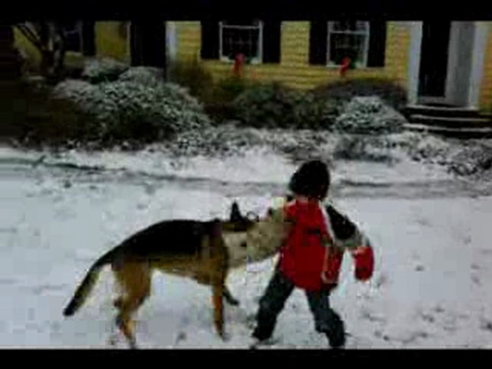 Amazing 9 Year-old Trains Attack Dog In The Snow