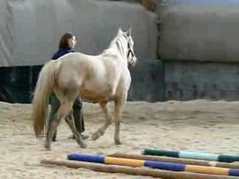 Séance du 2 janvier 2010