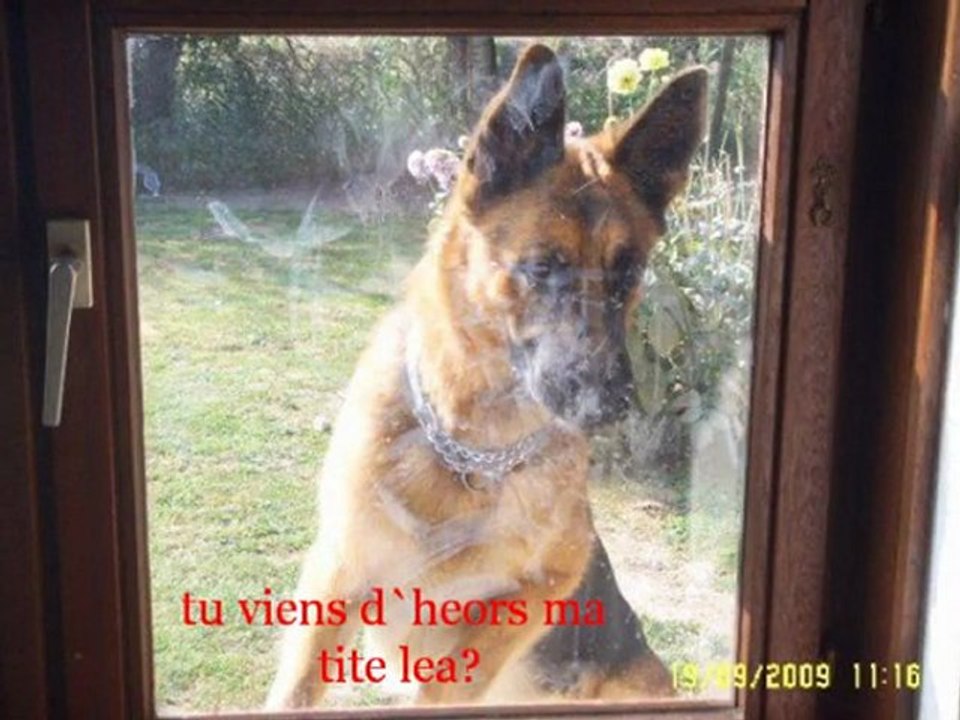 Une nouvelle aventure avec comme vedette Léa et Rex