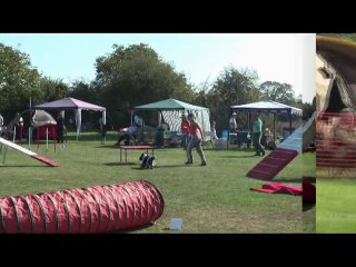 c'ven concour agility saison 2009 partie 1