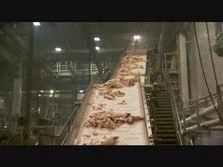 la boulette du hamburger,  fast food.  du film:  food inc.