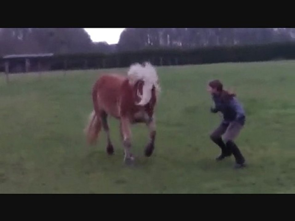 1er Janvier Naïade et moi