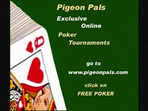Pigeon Pals Daily Racing Club News171 Pigeon Poker