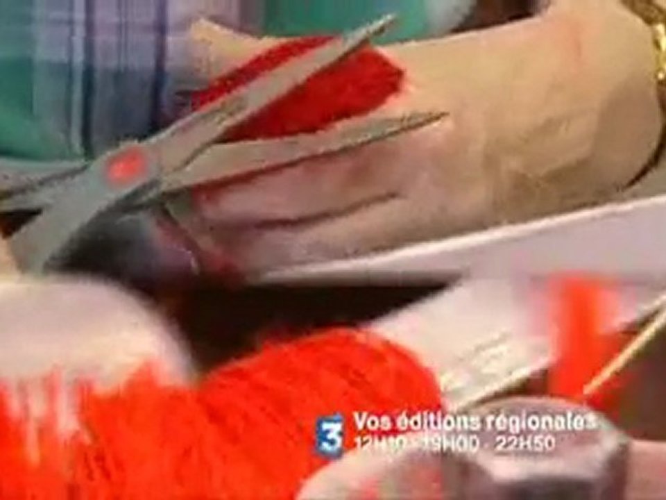 FRANCE3 OUEST en attente de diffusion sur le net...