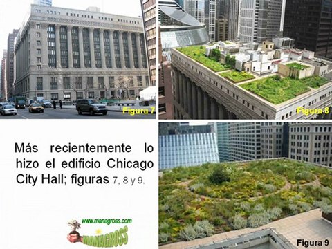 TECHOS VERDES, TERRAZAS VERDES 2014