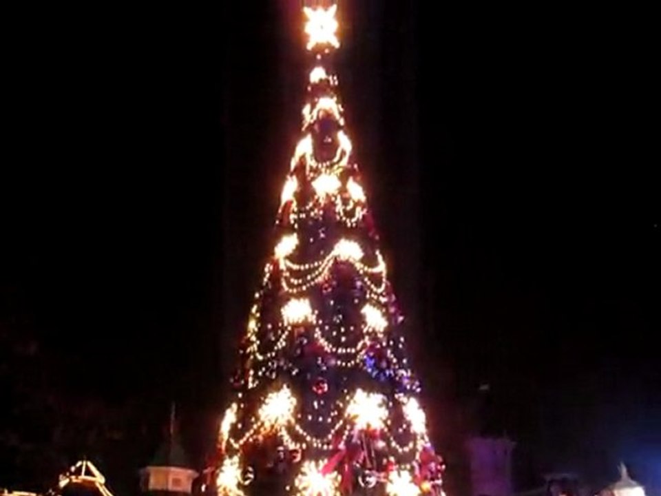 cérémonie d'illumination du sapin de Noël 2009