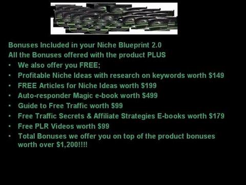 The Blog of Niche Blueprint 2.0 Review & Bonus