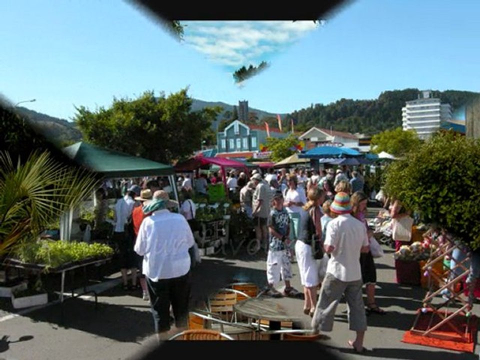 Picton to Abel Tasman - South Island - New Zealand
