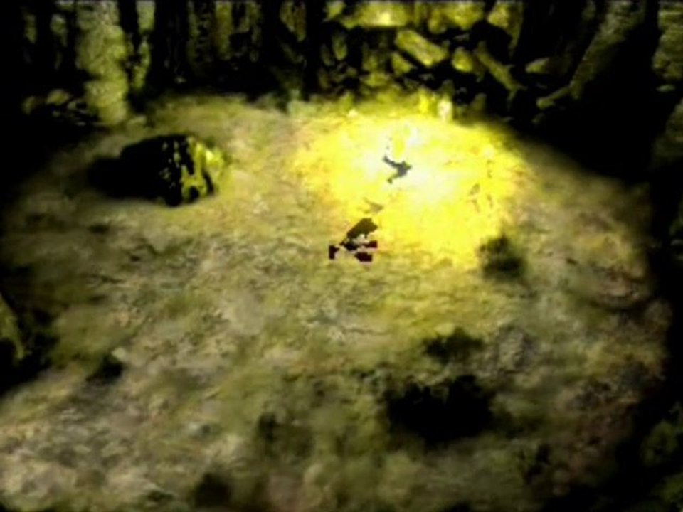 FF7 [48] Les chocobos