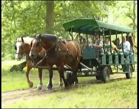Visite en calèche du domaine présidentiel de Rambouillet