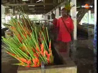 Wari - Dimanche 27 decembre 2009