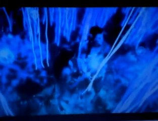 Avatar - Jake & Neytiri become one