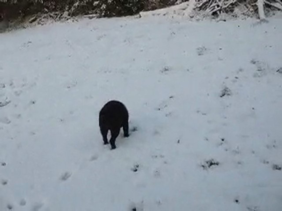 Ha!! la neige