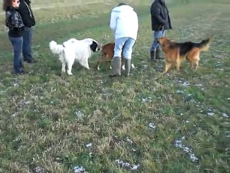 jeu avec les copains