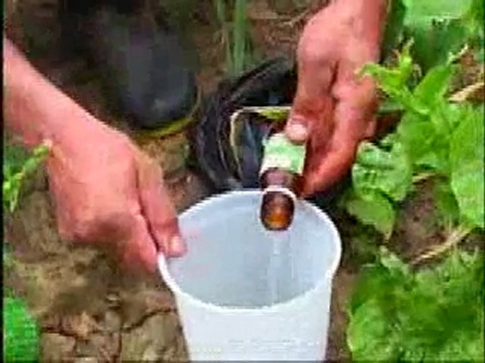 Çevre ve İnsan