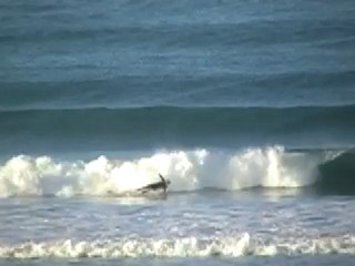 LAsT SeSSiOnS iN O9- WiPeS, CLoSe & TaX