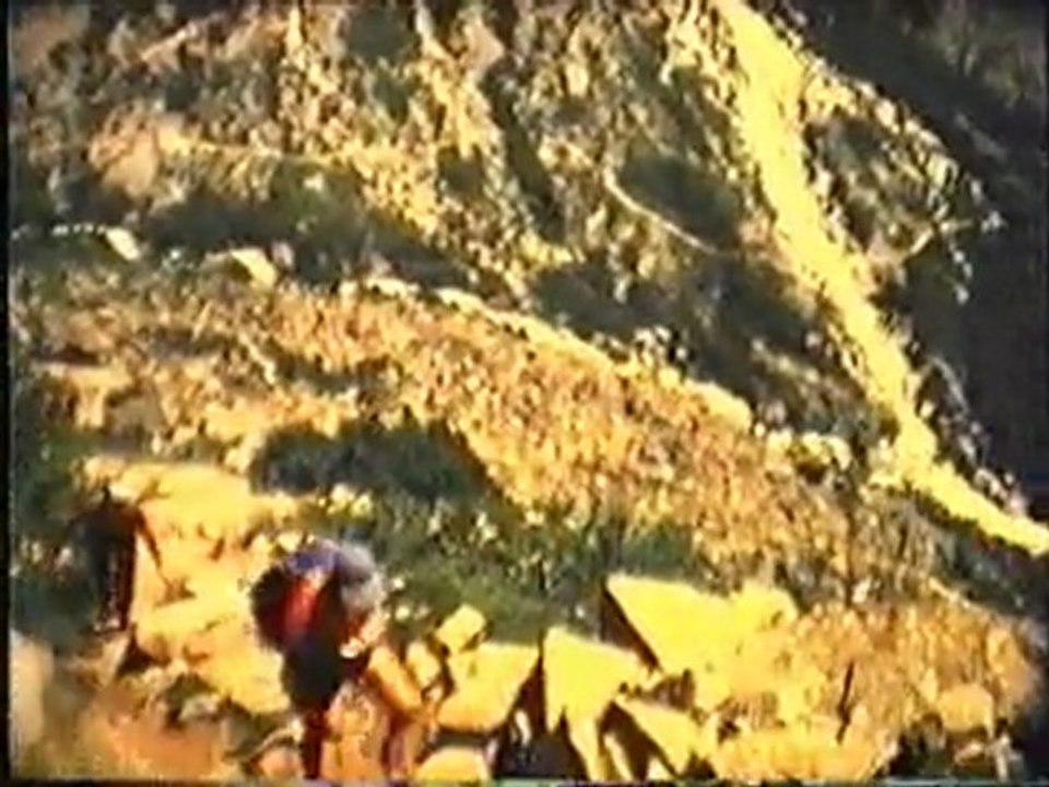 2-Les Braesch été 78