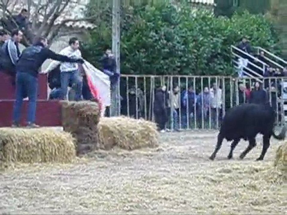 videos de lencierro guallargues gire   aubanel    03 01 10