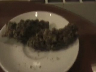 Rock Star(Bonguru Seeds) & Dutch Cheese!