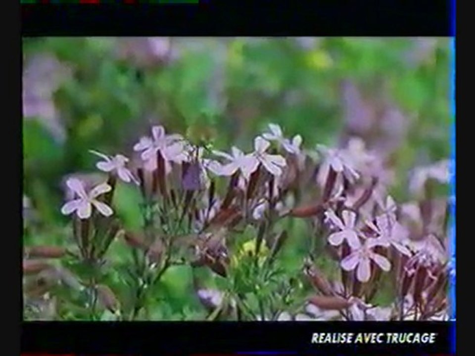 Trucage de Karl Zero microcosmos le peuple du pouvoir