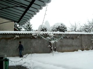 Opération SOS chat en détresse