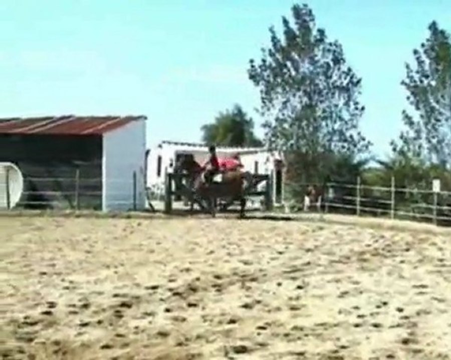 Charles-Antoine Cros