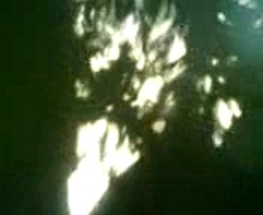 Ombres chinoises dans mon salon