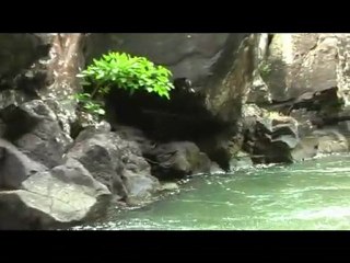 petit aperçu de la journée "îles du sud"