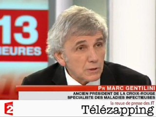 Télézapping: Grippe A, le gouvernement en a-t-il trop fait ?