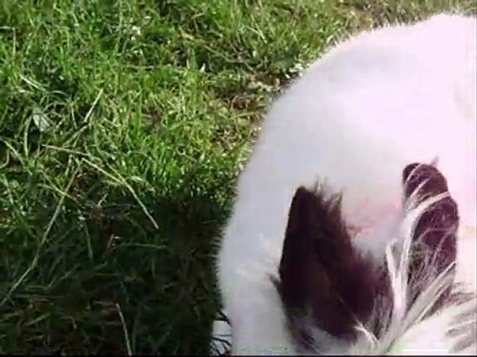 Petite lisa.. je t'oublie pas, jamais !