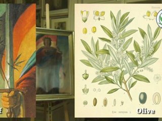 Germania mit Olive? - Tagesrausch vom 09.12.2009