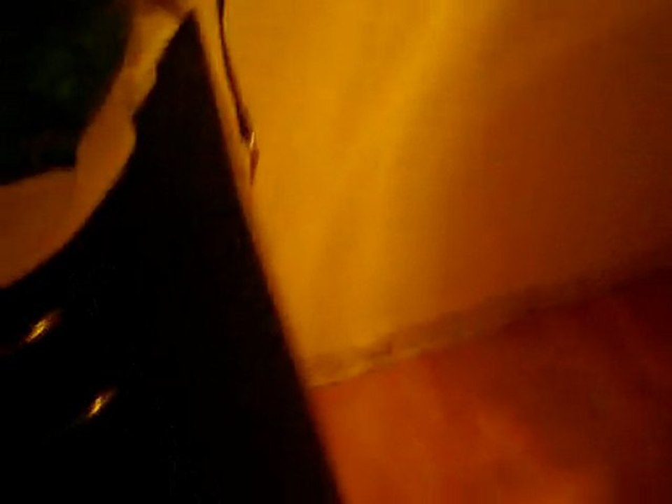 SDC13456 mon chien qui embéte mon chat 2