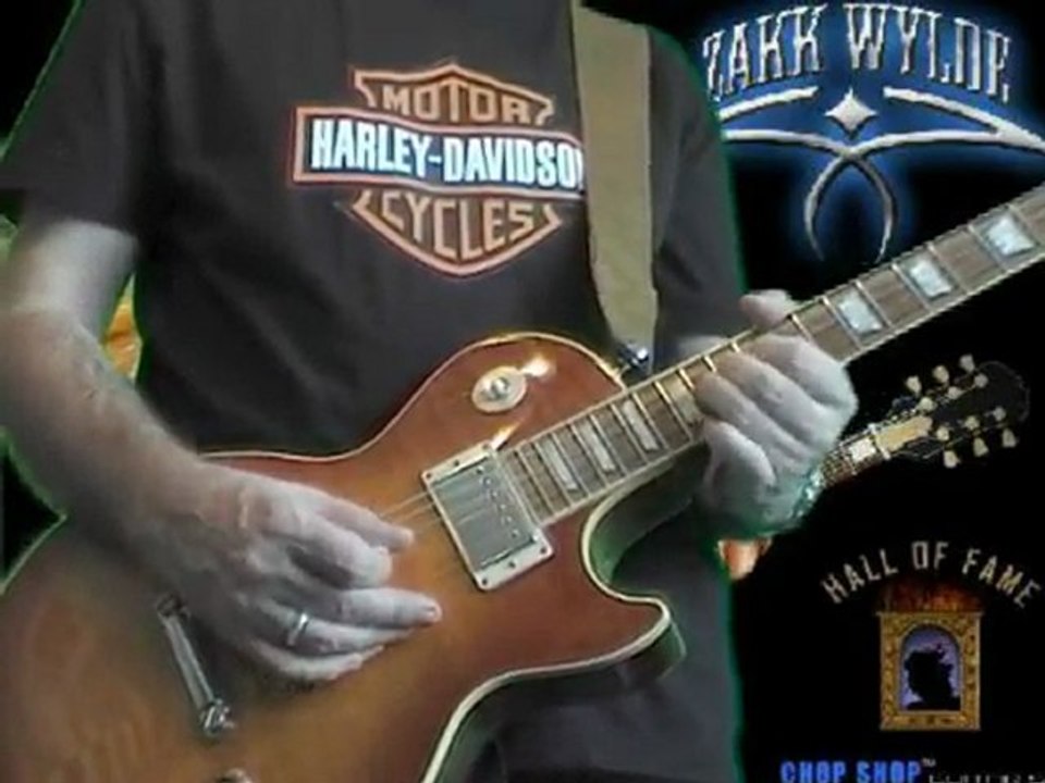 ZAKK WYLDE  - Farewell ballad