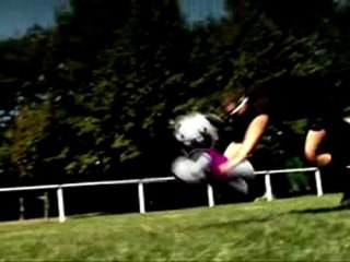 Les lapins crétins - Le Haka