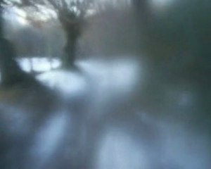 sortie 02-01-2010 suite