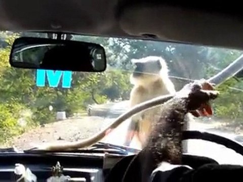 Udaipur - Rajasthan - Inde - Bernard Legros