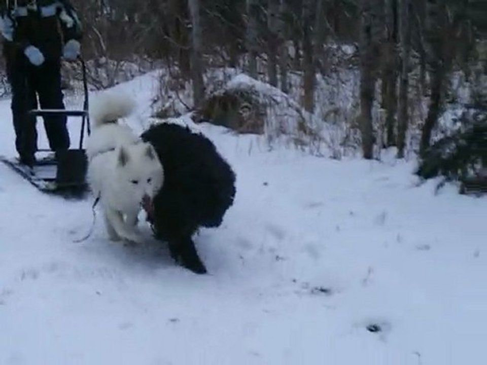 27-12-09-VID01