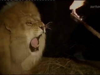 La légende des sciences - Emerger 3/6