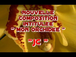 Mon " Orchidée "