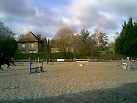 à l'entrainement, parcours 1m30/1m35