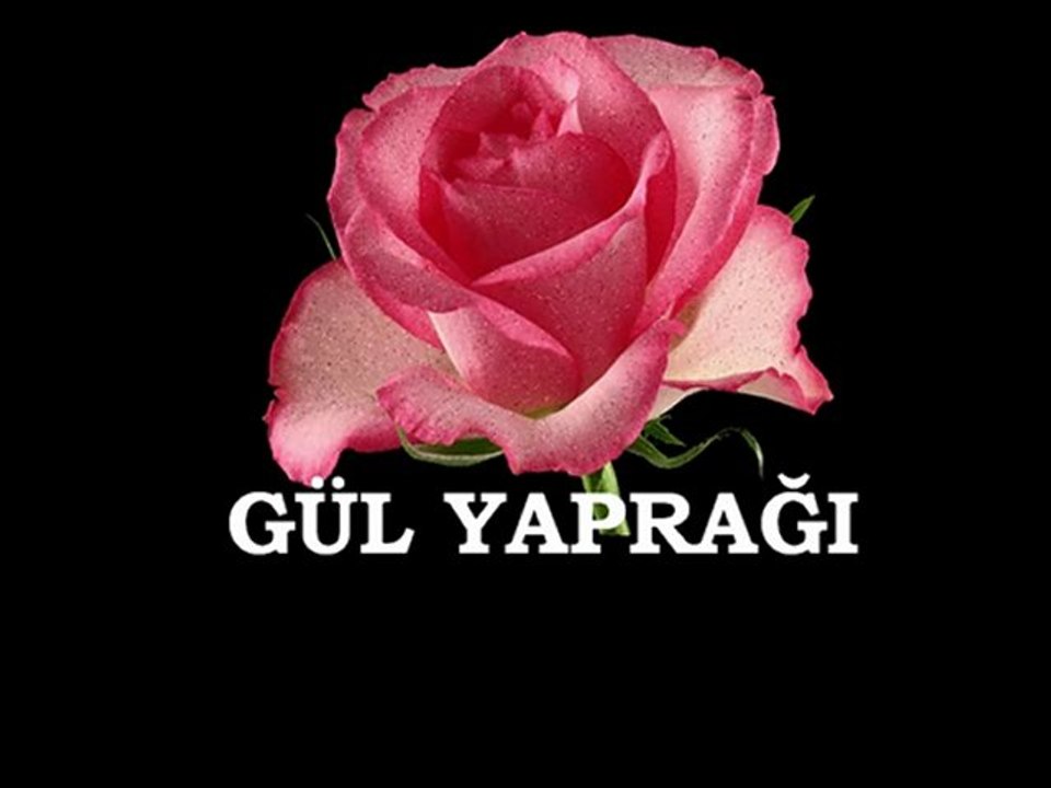 GÜL YAPRAĞI