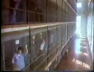 Illinois Inmate Thai Government May Allow Living Wills Poste