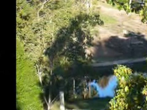 Montville, Sunshine Coast, Queensland