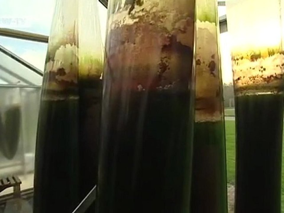 Producing Energy Through Emissions | Tomorrow Today