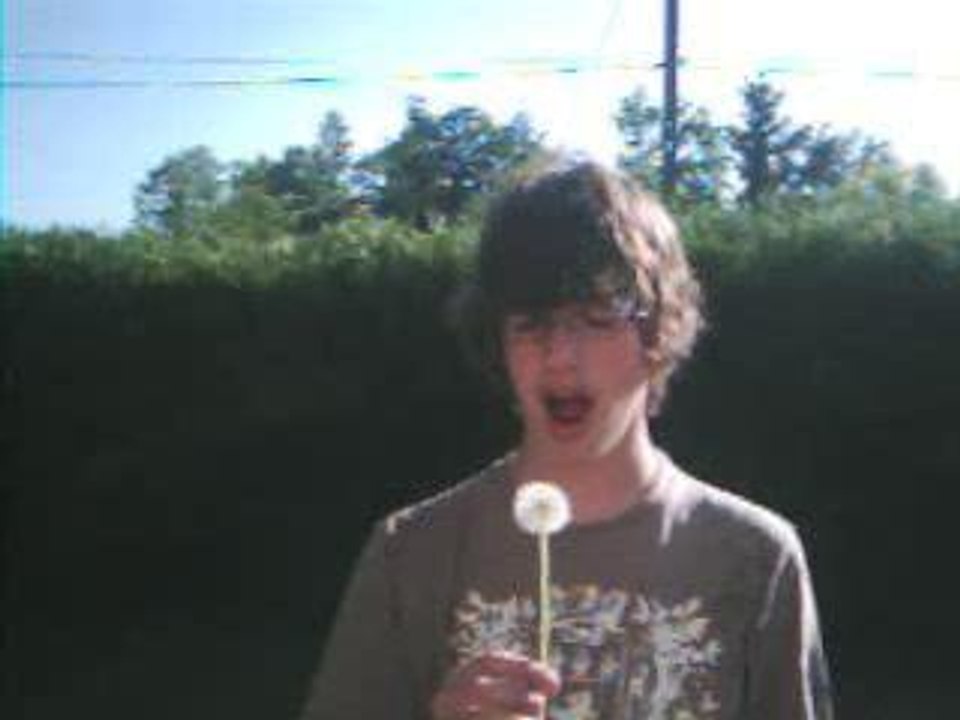 Bouffe tout fait l'age de glace