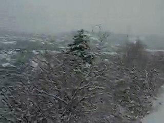 Polka Russe ou Comment se réchauffer dans les Bois....
