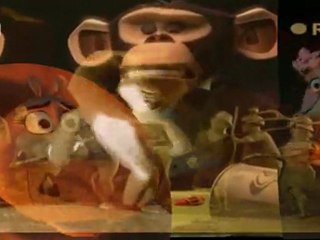 Madagascar: Mysterious Ticking Noise