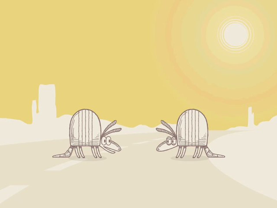 Nature Break - Armadillos #08