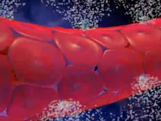 Antihistaminicos (v.o. ingles)